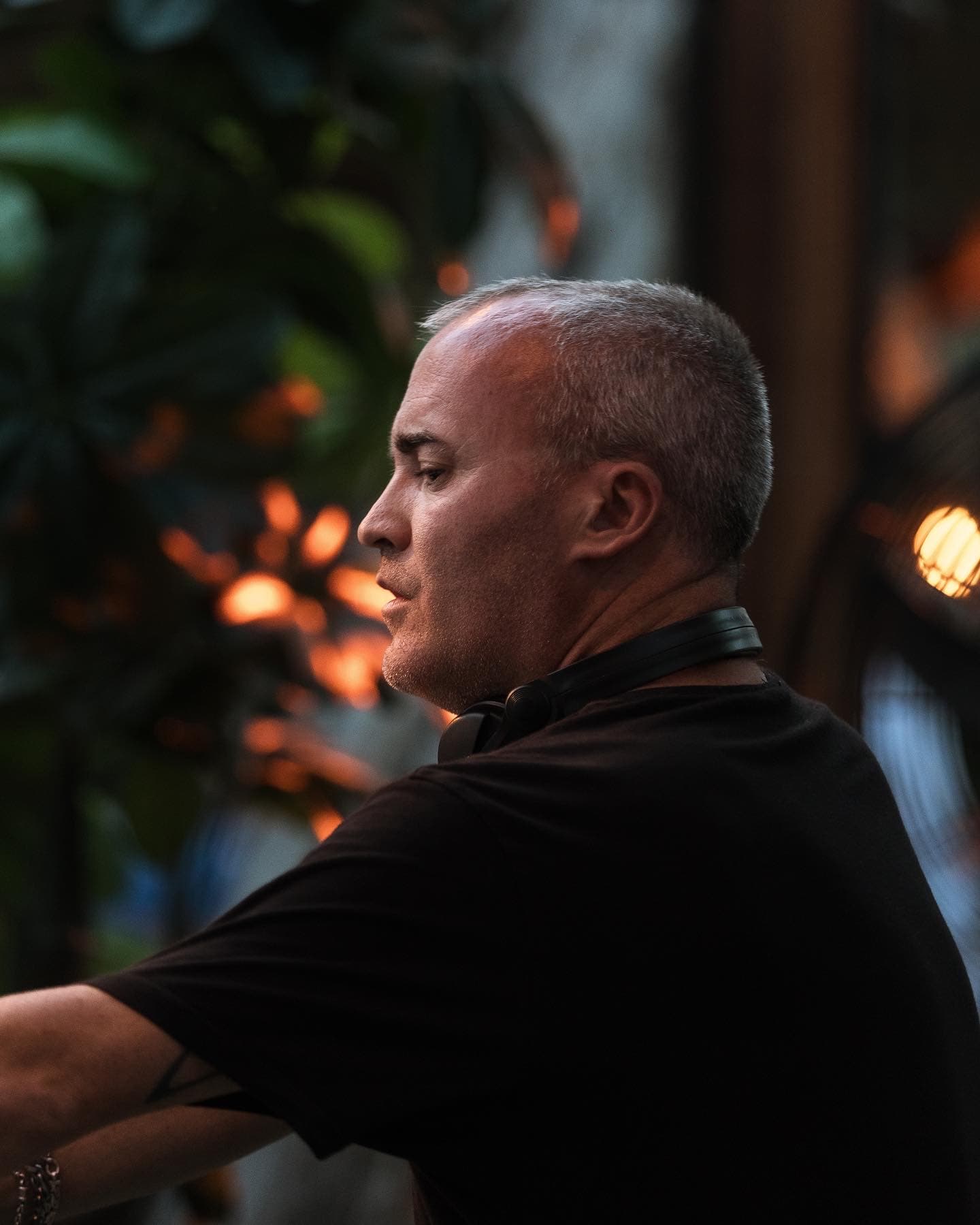 Sound system detail